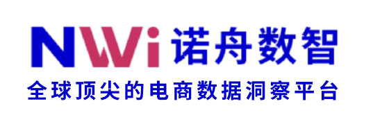 NoahWise Insight Cross-Border Insights Logo